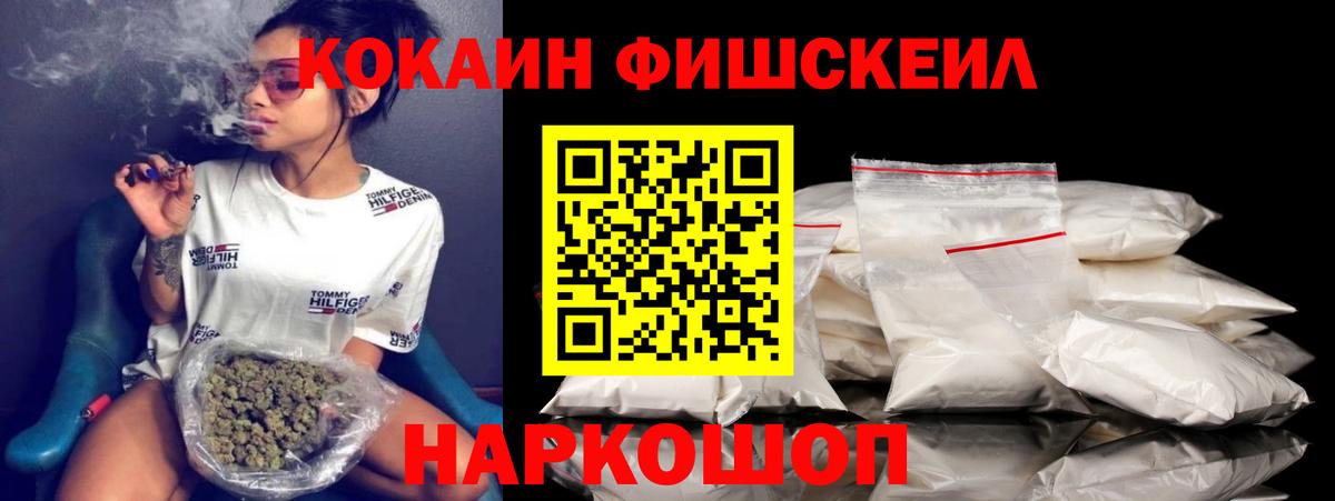 Альфа ПВП Моздок