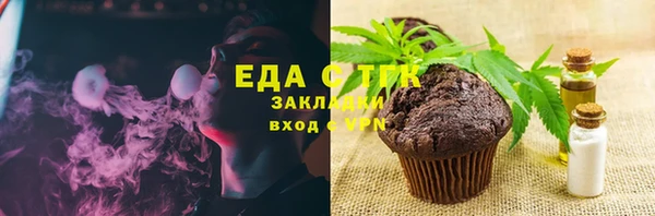 мет Алексин