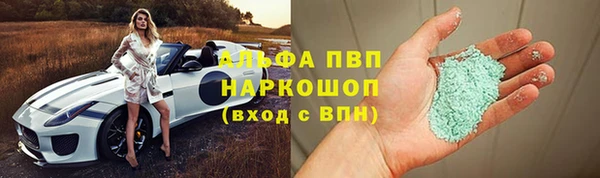 индика Алзамай