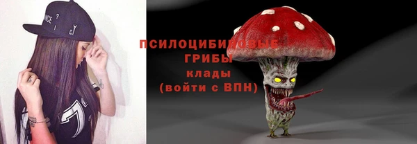 мет Алексин