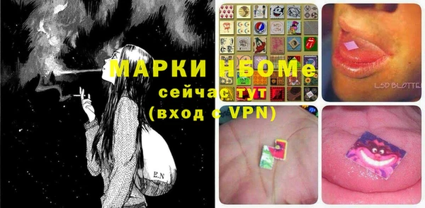индика Алзамай