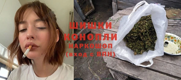 мет Алексин
