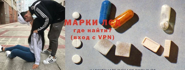 индика Алзамай