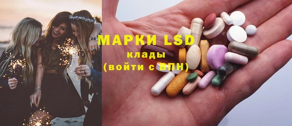 индика Алзамай