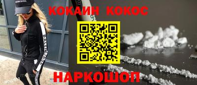спайс Кингисепп