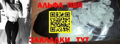 спайс Кингисепп