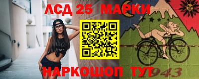 спайс Кингисепп
