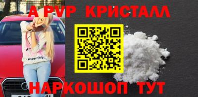 спиды Кимры