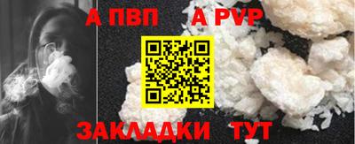 спайс Кингисепп
