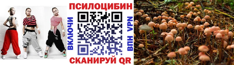 Псилоцибиновые грибы прущие грибы  blacksprut ссылка  Моздок  наркошоп 